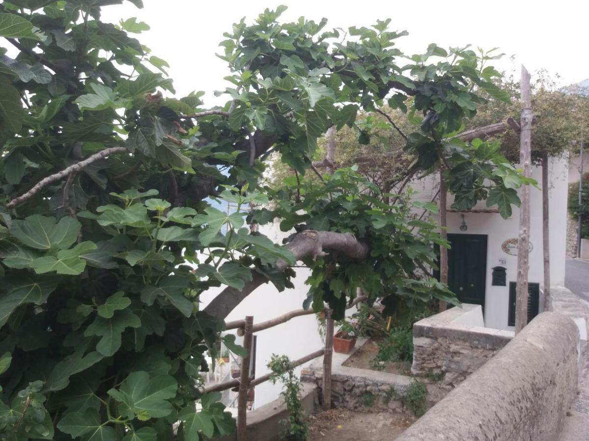 Casa Rosetta Villa Praiano Buitenkant foto
